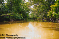 Berry picking Bees Kayaking Little Brazos River 2020-1334